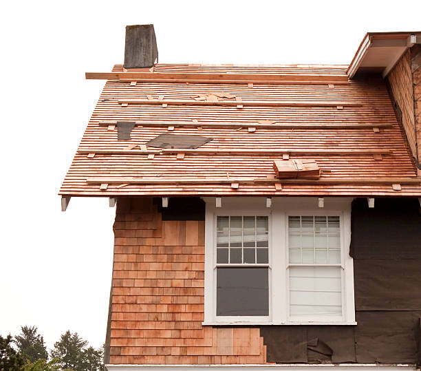 Best Siding Removal and Disposal  in Lomira, WI